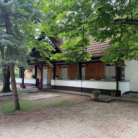 Platan Ueduelo Lägenhet Balatonlelle Exteriör bild