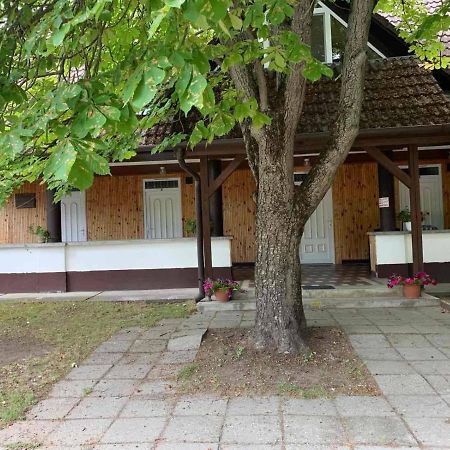Platan Ueduelo Lägenhet Balatonlelle Exteriör bild