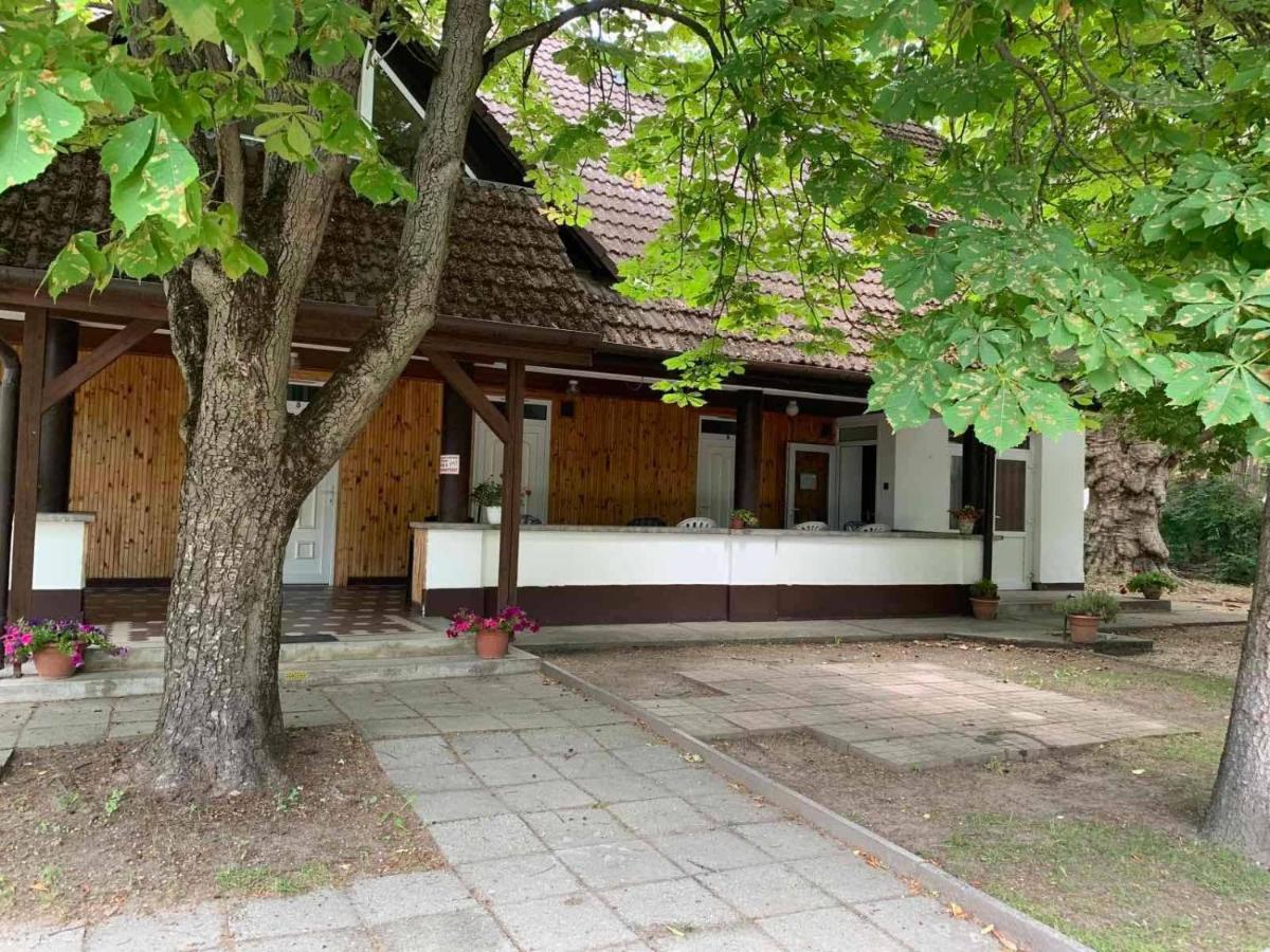Platan Ueduelo Lägenhet Balatonlelle Exteriör bild